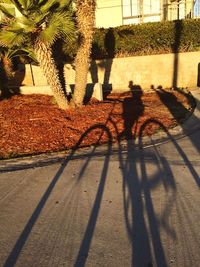 Low section of man with shadow on road