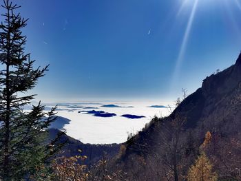 Scenic view of landscape against blue sky during winter