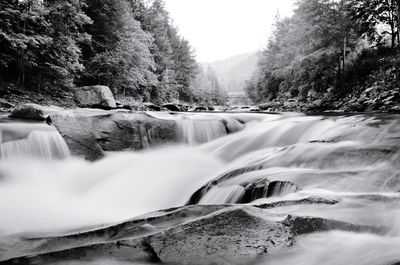 River flowing through rocks in forest