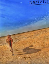 Rear view of woman walking on beach against sky