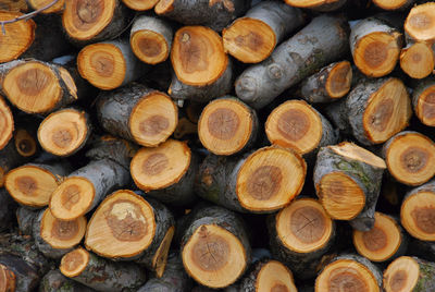 Full frame shot of logs