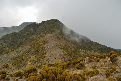 Scenic mountain landscapes against a foggy background, elephant hill in the aberdare ranges, kenya