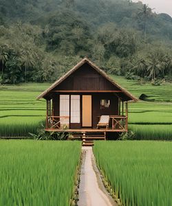 Scenic view of field against mountain