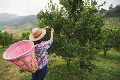 Rear view of woman standing by plants