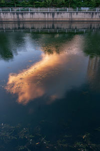 Scenic view of lake