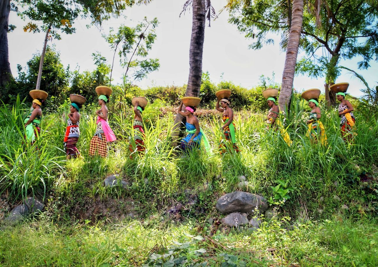 PEOPLE ON FIELD AGAINST TREES