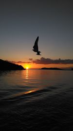 Silhouette bird flying over sea against sky during sunset