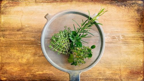 Directly above shot of herbs in tea strainer on table