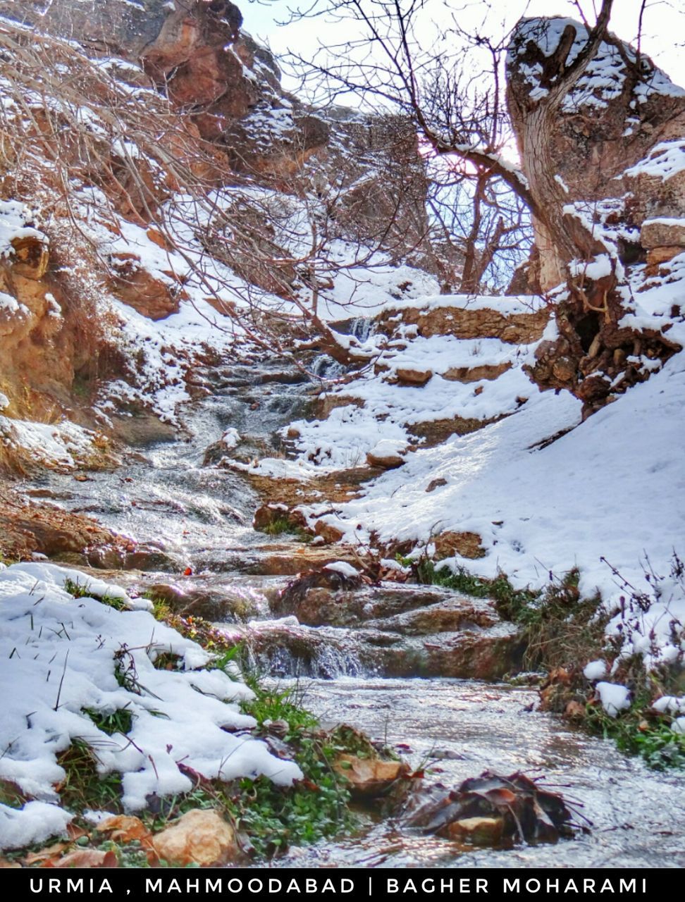 nature, tree, winter, beauty in nature, tranquility, cold temperature, day, snow, outdoors, no people, scenics, water, growth, landscape, sky, close-up