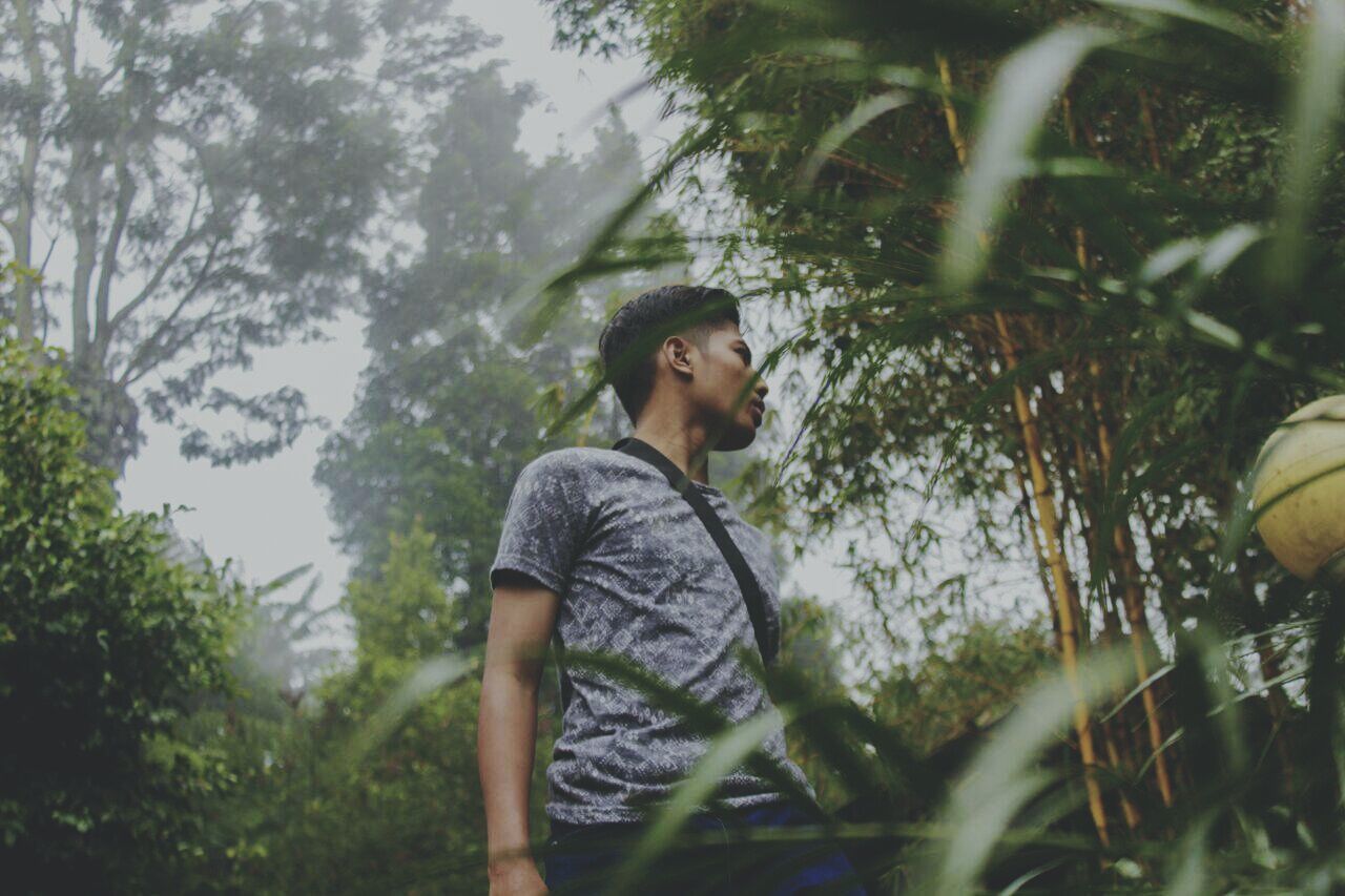 YOUNG MAN IN TREE