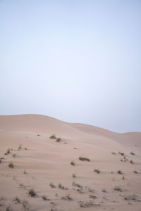 Desert sand dunes landscape background