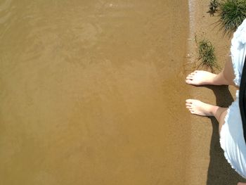 Low section of woman standing on beach