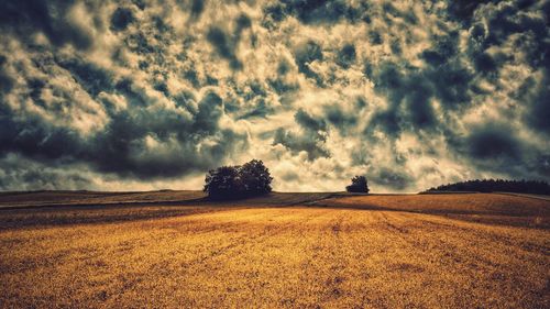 Scenic view of field against cloudy sky