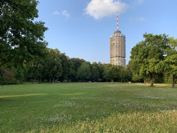 Trees growing on field against modern buildings