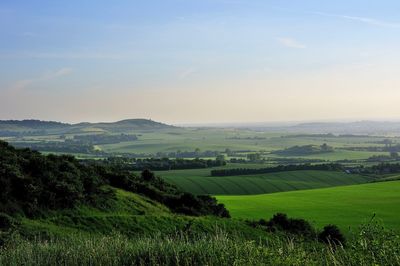 Scenic view of agricultural field against sky