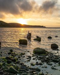 Scenic view of sea against sky during sunset