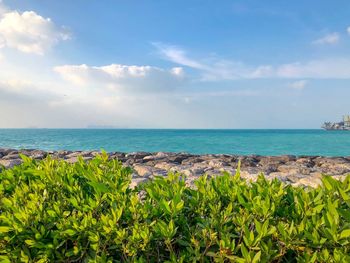 Scenic view of sea against sky