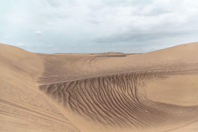 Sand dunes in desert against sky