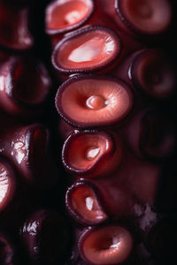 High angle closeup of fresh octopus tentacles with red suckers placed on dark table