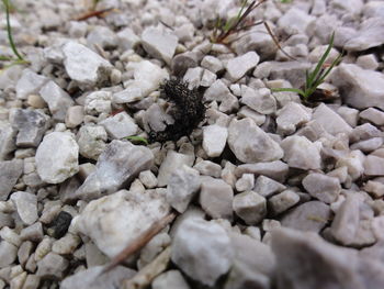 Close-up of stones