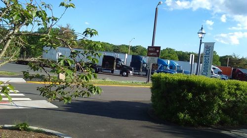 Trees growing in front of building