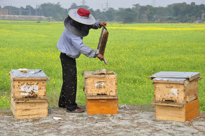 Close-up of man working on field