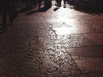 Reflection of trees in puddle
