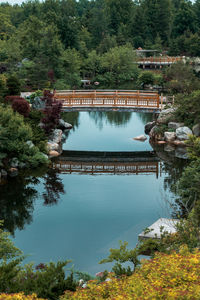 Reflections of the bridge on the lake in the japanese garden in grand rapids michigan