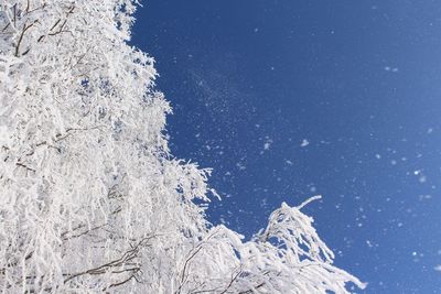 Low angle view of blue sky