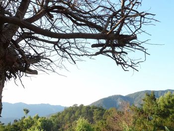 Scenic view of mountains