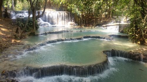 View of river flowing through forest