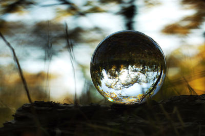 Close-up of crystal ball on glass