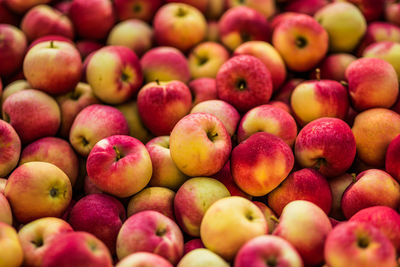 Full frame shot of apples for sale at market stall