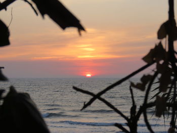 Scenic view of sea at sunset