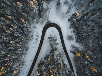 Aerial view of winding road through forest in winter