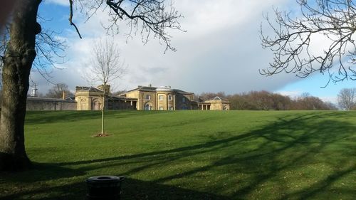 Trees on grassy field against cloudy sky