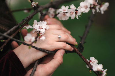 Close-up of hand holding flower