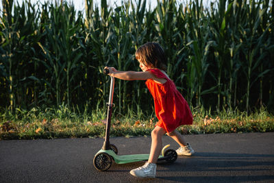 Girl in red dress riding green scooter on a road next to corn field