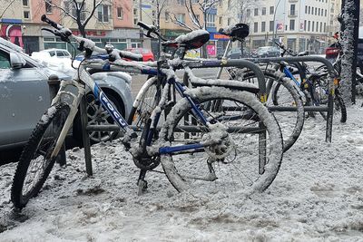 Bicycles parked in city