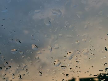 Low angle view of raindrops on glass window