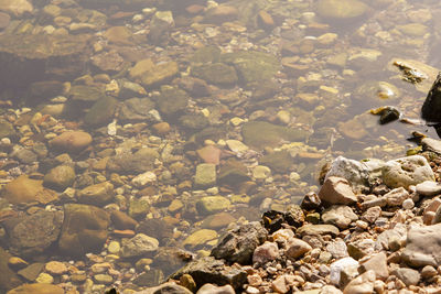 High angle view of rocks