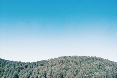 Scenic view of landscape against clear blue sky