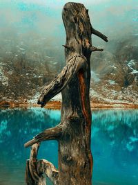 Tree trunk by sea against sky