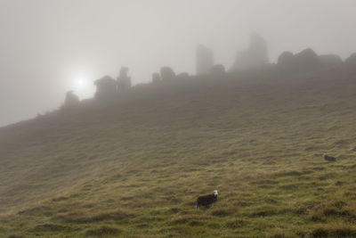 Scenic view of landscape against sky