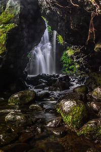 Waterfall in forest