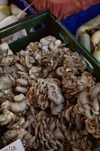 High angle view of mushrooms for sale in market
