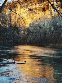 View of birds swimming in lake