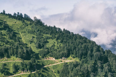 Scenic view of trees and mountains against sky