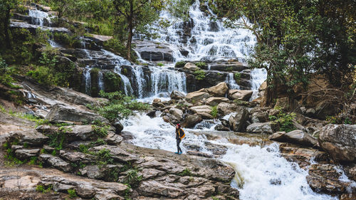 Scenic view of waterfall in forest