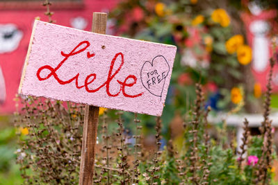 Close-up of text on red plant
